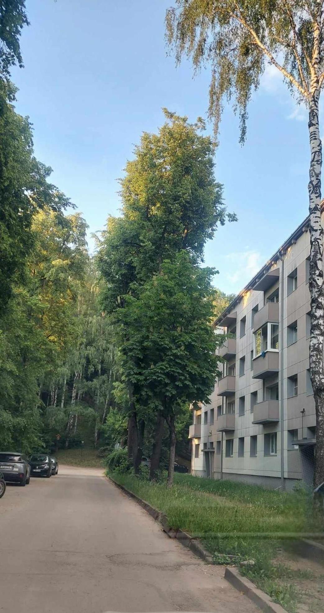 Raudondvario II Kaunas Buitenkant foto